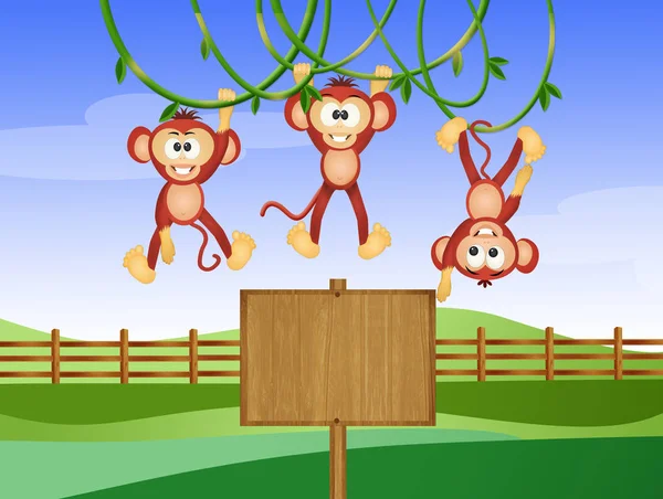 Illustration Monkeys Zoo — Stock Photo, Image