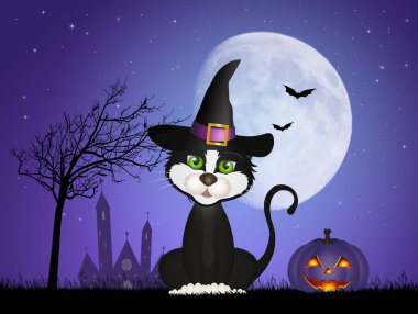 Cadı şapka ile siyah kedi
