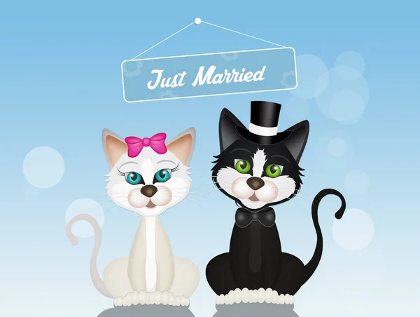 Illustration Cats Spouses — Stock Photo, Image