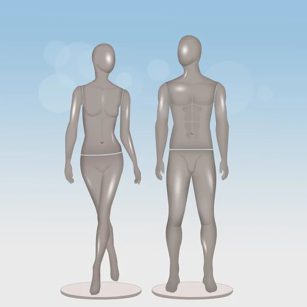 男性和女性人体模型的例证 — 图库照片