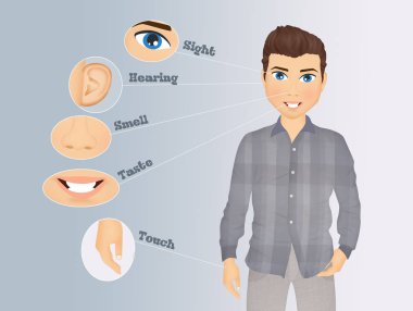 beş duyu gösteren resim