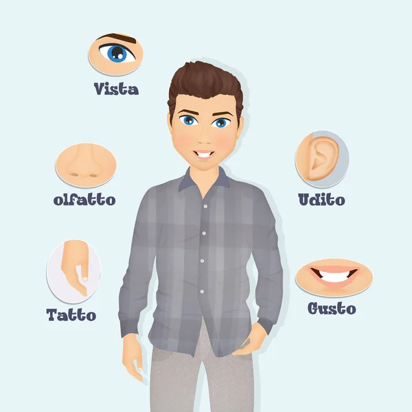 illustration of five senses