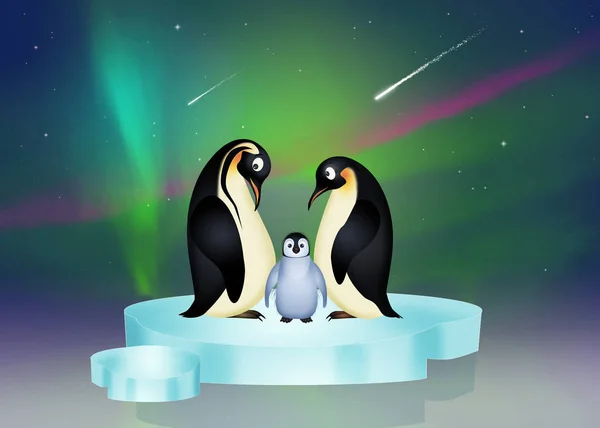 penguins on iceberg and the northern lights