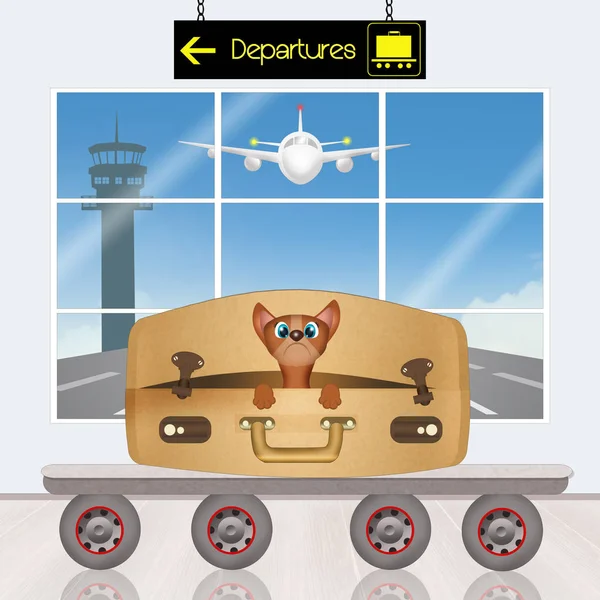 Dog Suitcase Airport — Stock Photo, Image