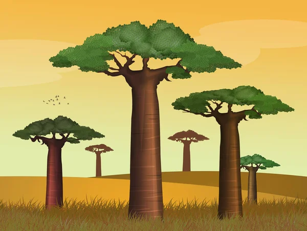 Ilustrace Baobab Strom Při Západu Slunce — Stock fotografie