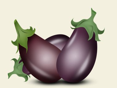 Patlıcan sebze çizimi