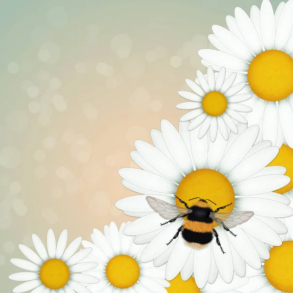 Illustration Bumblebee Daisies — Stock Photo, Image