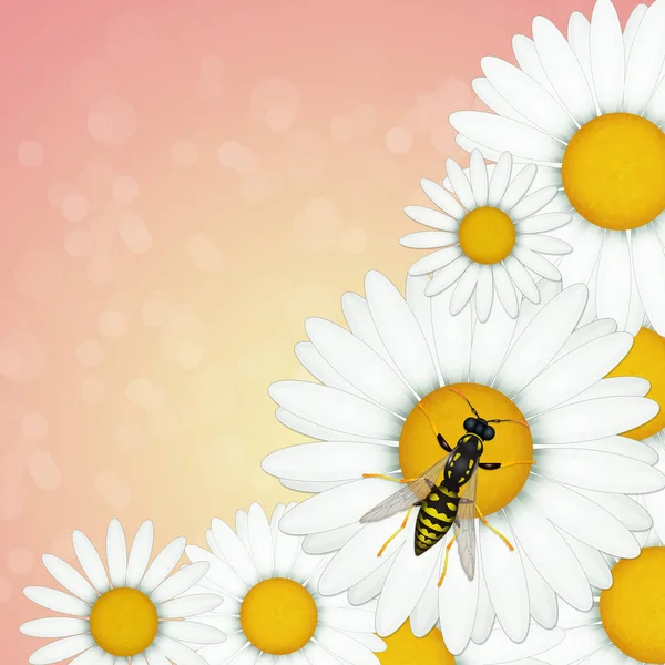 Εικονογράφηση Της Σφήκας Μύγες Στα Λουλούδια — Φωτογραφία Αρχείου