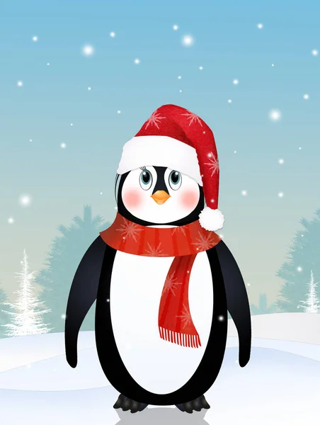 Cute Penguin Winter — Stock Photo, Image