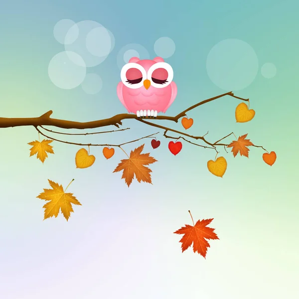 Owl Branches Autumn — Stock Photo, Image