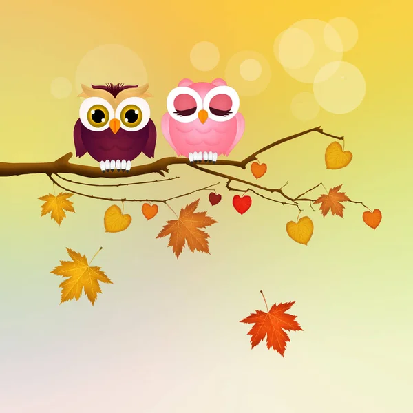 owls on branches in autumn