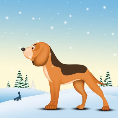köpek içinde belgili tanımlık kar kış