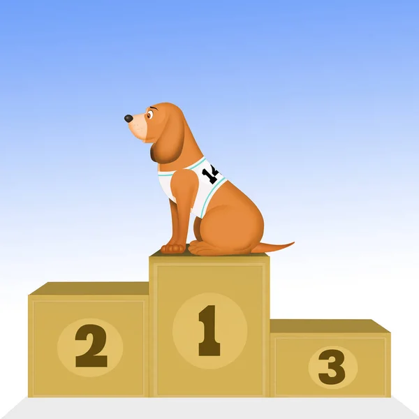 Illustration Dog Podium — Stock Photo, Image