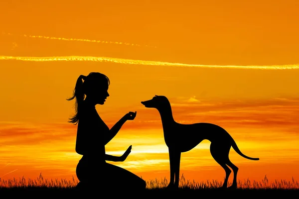 Illustrazione Del Cane Trainer Tramonto — Foto Stock