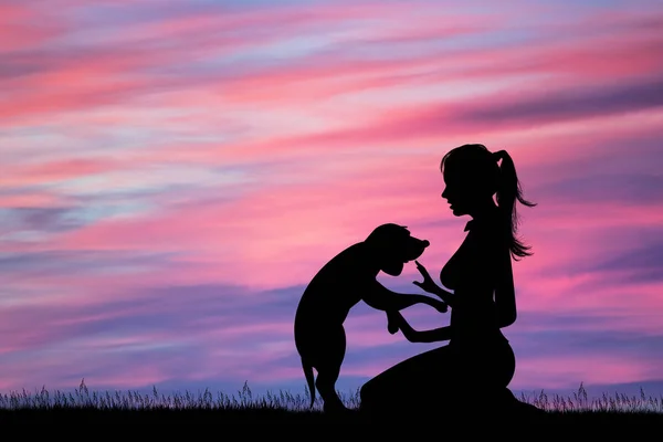 Het Meisje Met Haar Puppy Bij Zonsondergang — Stockfoto