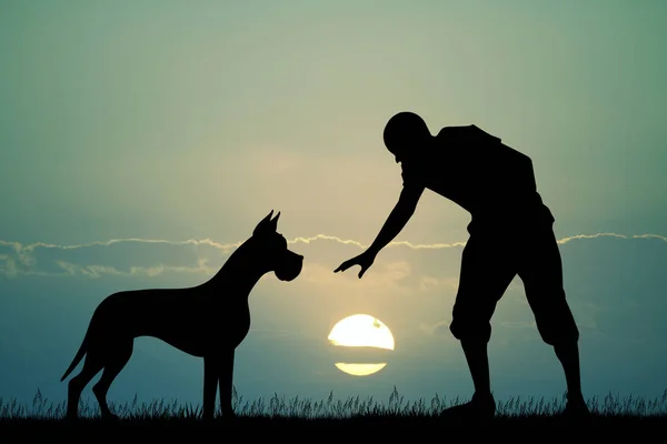 Illustratie Van Man Met Dane Bij Zonsondergang — Stockfoto