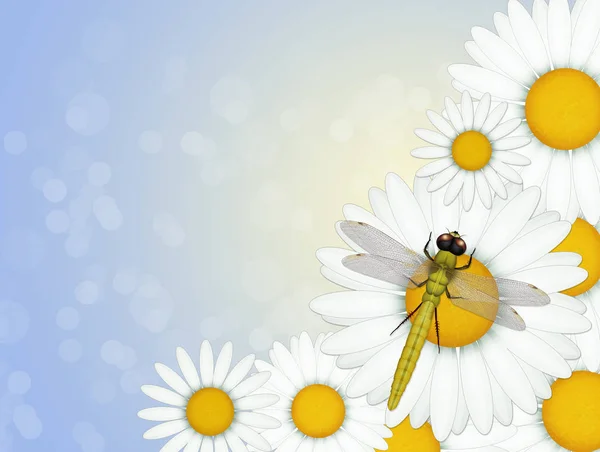 Illustration Der Libelle Auf Blume — Stockfoto