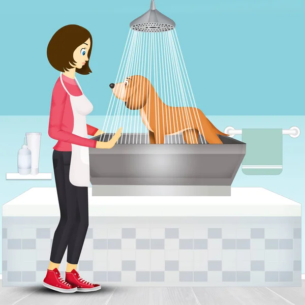 illustration of pet grooming