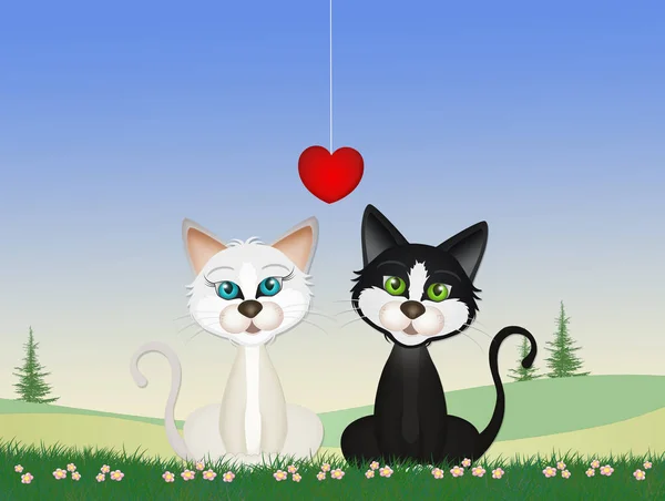 Two Cats Love Meadow — Stock Photo, Image