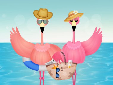 Tatile pembe flamingolar