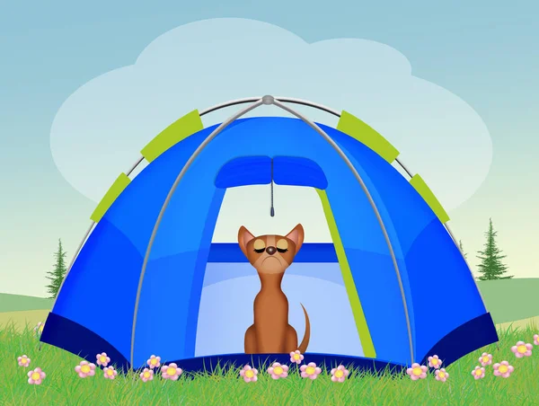 illustration of dog in the tent