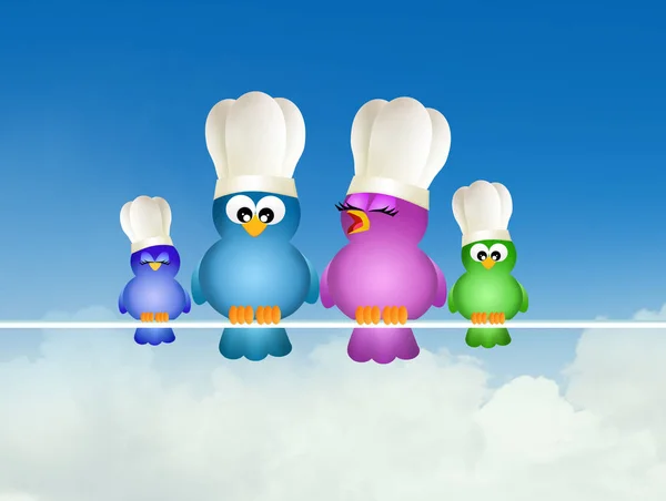 illustration of birds with chef hat