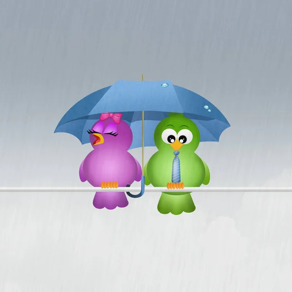 birds with umbrella in the rain