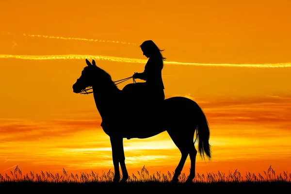 在日落时骑马的女孩 — 图库照片