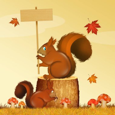 Sincap bir resmi Güz
