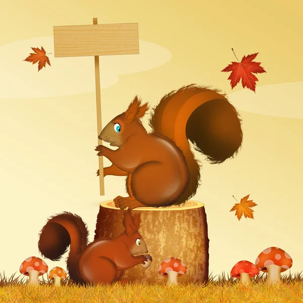 Illustration Squirrel Autumn — Stock Photo, Image