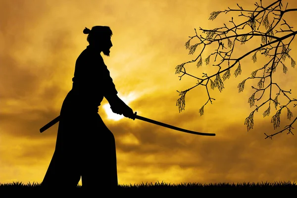 Mężczyzna Trzyma Miecz Samuraja — Zdjęcie stockowe