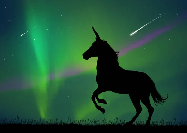 unicorn and sky with shooting stars