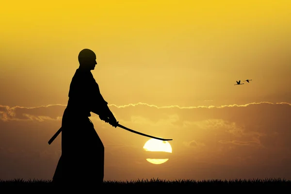 Samurai Mit Katana Bei Sonnenuntergang — Stockfoto