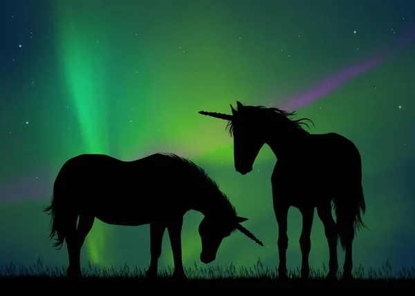 Hermosos Unicornios Las Auroras Boreales —  Fotos de Stock