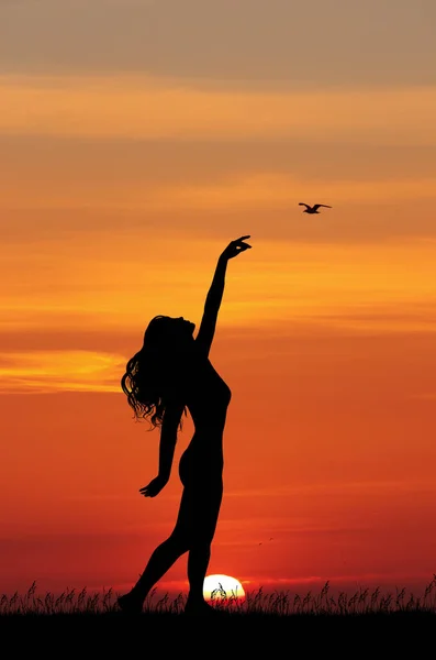 Illustration Dancer Sunset — Stock Photo, Image