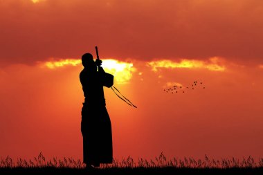 Aikido adam gün batımında