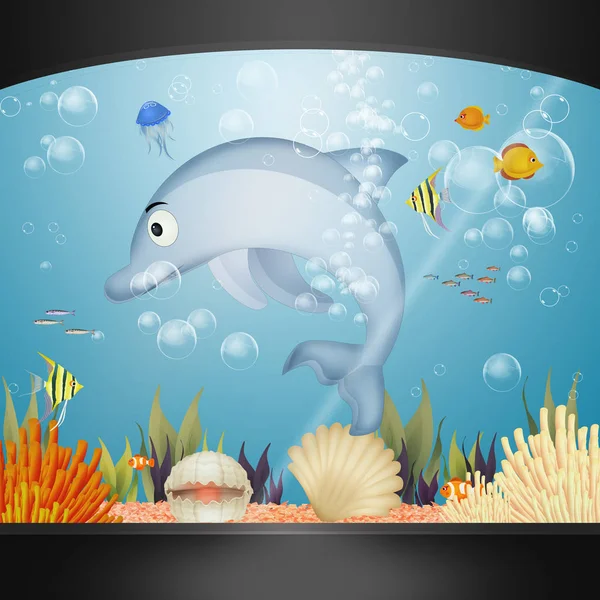 illustration of dolphin in the aquarium