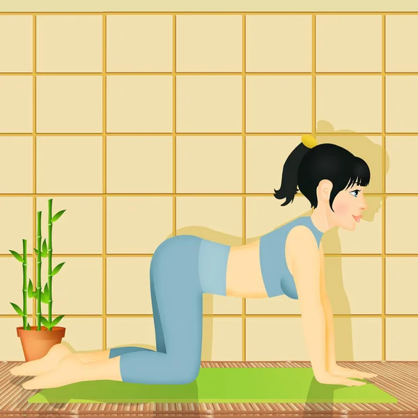 Illustration Yoga Katt Pose — Stockfoto