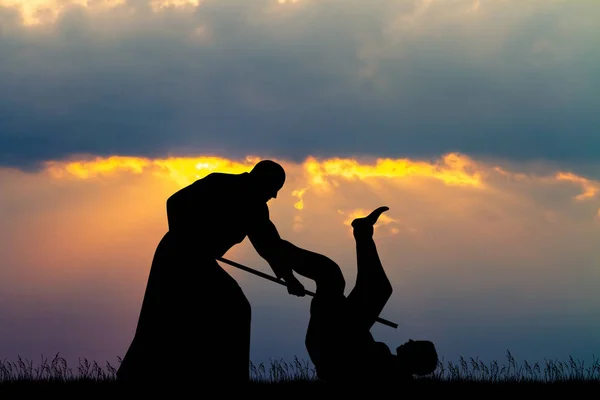 Gün Batımında Aikido Illüstrasyon — Stok fotoğraf