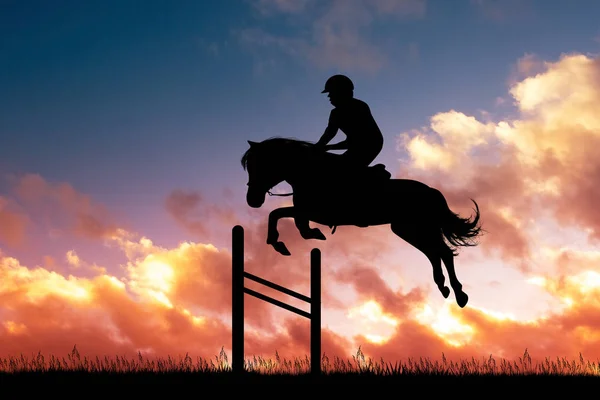 Ilustração Cavalo Show Jumping — Fotografia de Stock