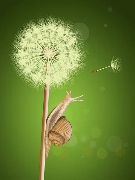 Ilustrasi Siput Dandelion — Stok Foto