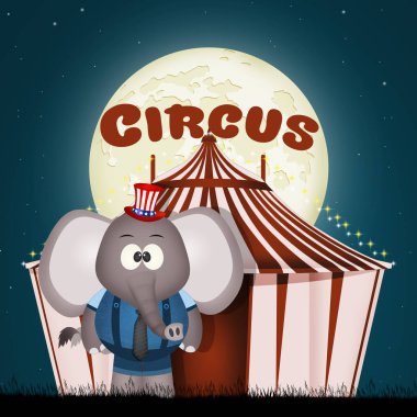 sirk fil Illustration