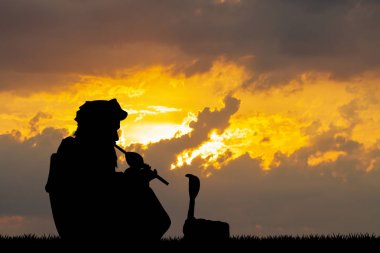 gün batımında yılan oynatan kimse