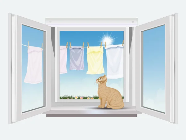 cat on the window looks at the clothes hanging