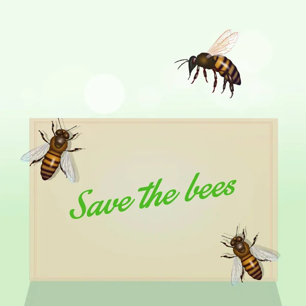 Σώστε Τις Μέλισσες Στον Κόσμο — Φωτογραφία Αρχείου