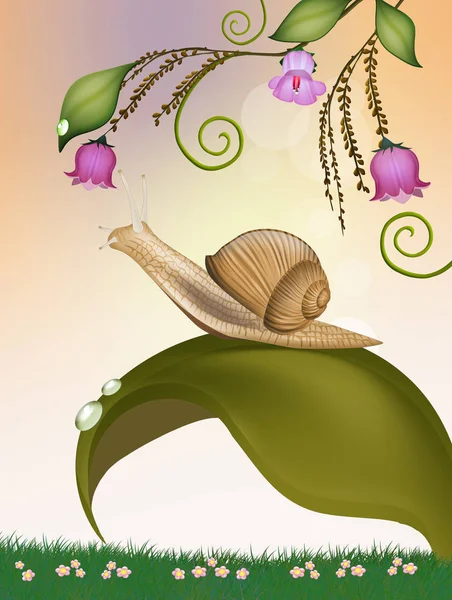 Illustration Snail Leaf — Stock Photo, Image