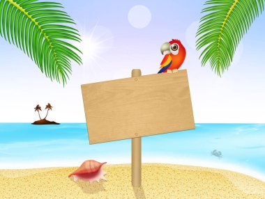 egzotik adada işareti papağan