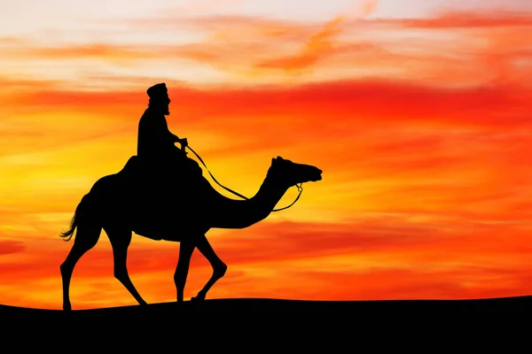 Arabische Man Camel Bij Zonsondergang — Stockfoto