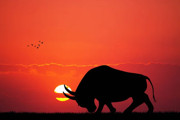 illustration of bull at sunset