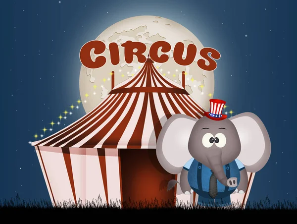 Ilustração Elefante Circo — Fotografia de Stock